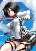 attack_on_titan_-_mikasa_20130914_097.jpg